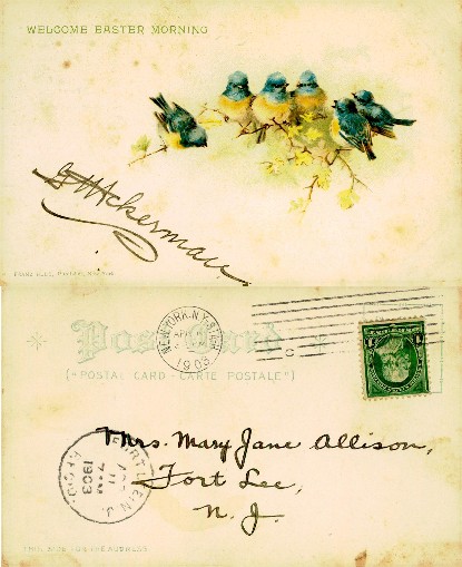 Birds on Flowering Branch