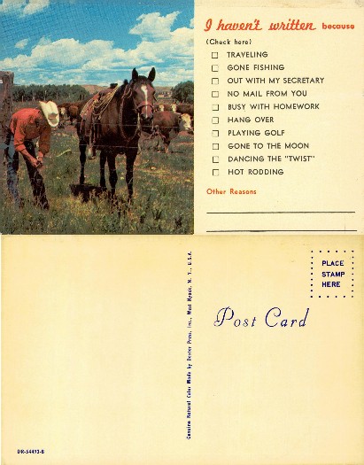 Cowboy with horse and cattle