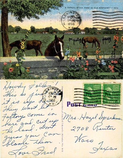 Kentucky Stock Farm with Horses