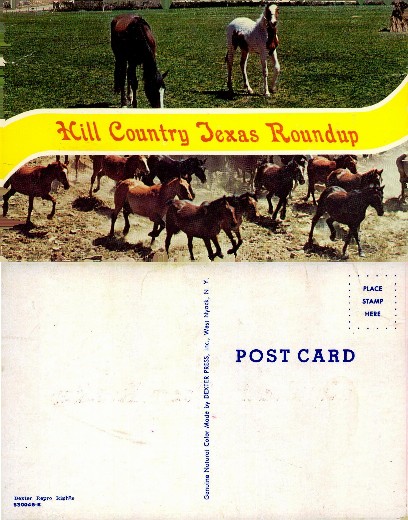 Hill Country Texas Roundup