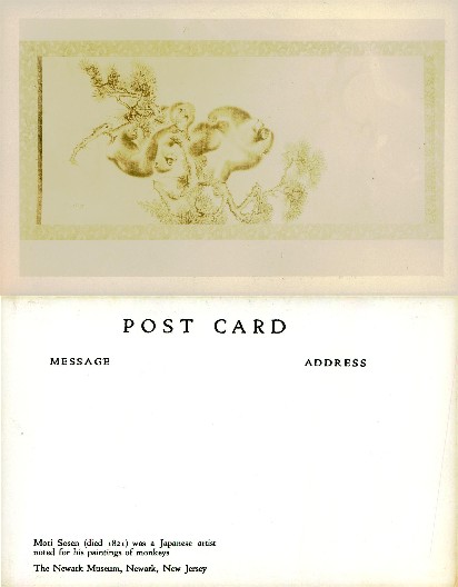 Monkeys in Pine Tree