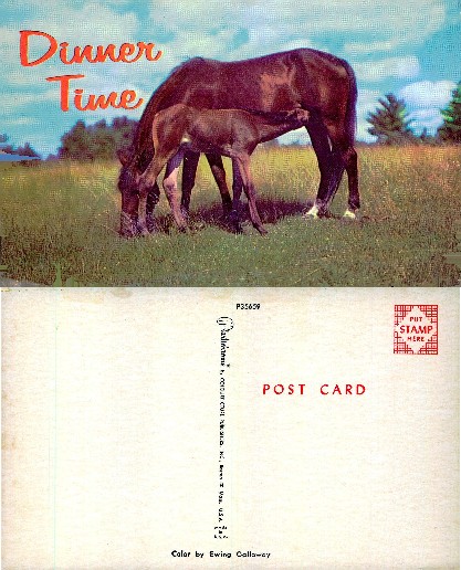 Mare and Foal in Pasture