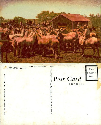 Ranch Hands Herding Horses