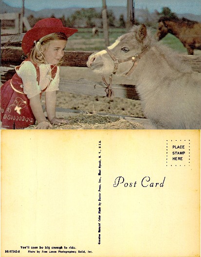 Girl in Cowgirl Hat with Pony