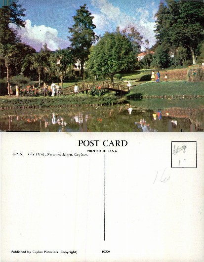 Park with Pond and Wooden Bridge