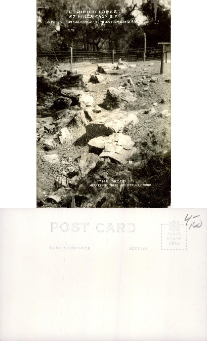 Petrified Forest Wood Pile