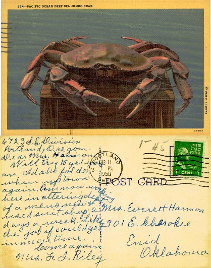 Pacific Ocean Deep Sea Jumbo Crab