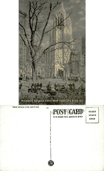 Madison Square Park & NY Life Bldg