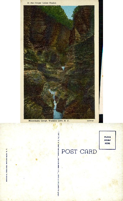 Minnehaha Gorge with Stream and Trees