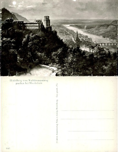Heidelberg Castle & Town at Night