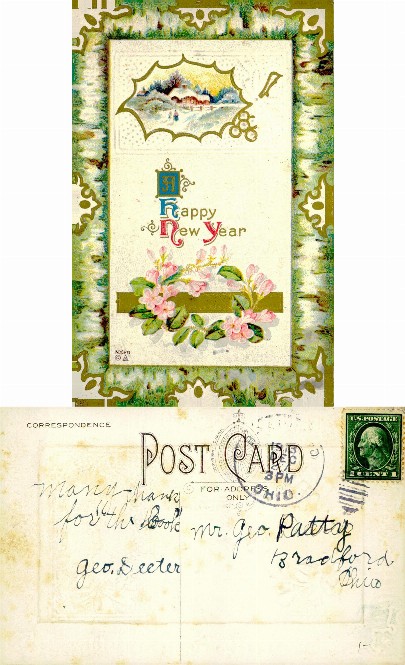 New Year Card with Winter Scene & Flowers