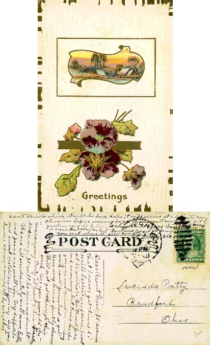 Illustrated Winter Scene & Flowers
