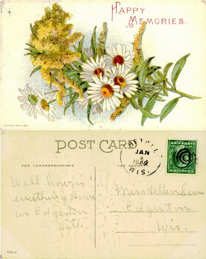 Bouquet of Daisies and Goldenrod