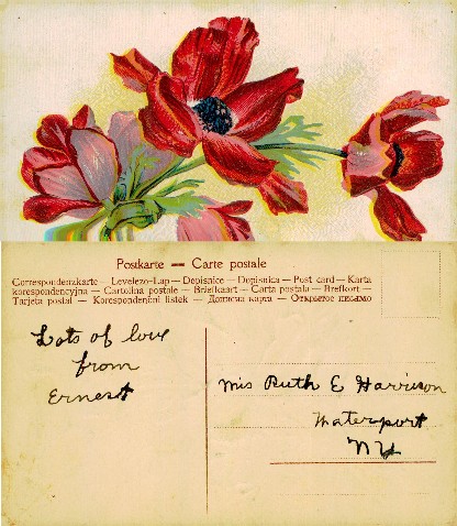 Vibrant Red Anemone-like Flowers