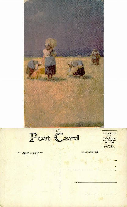 Women Harvesting in Field