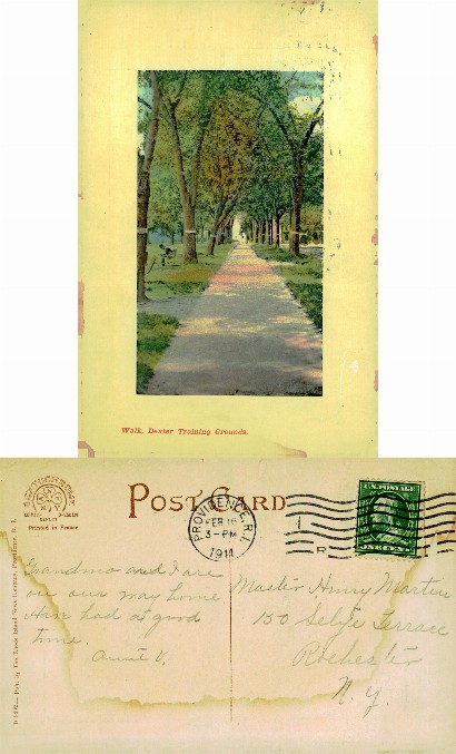 Tree-Lined Walk, Training Grounds