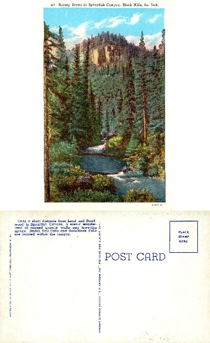 Spearfish Canyon Scenic View