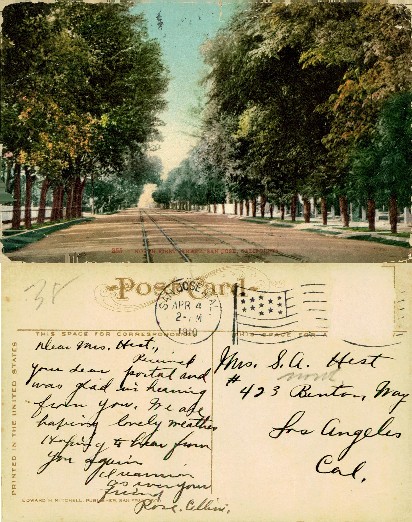Tree-lined Street with Trolley Tracks
