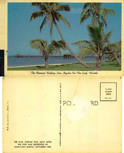 Naples Fishing Pier with Palm Trees