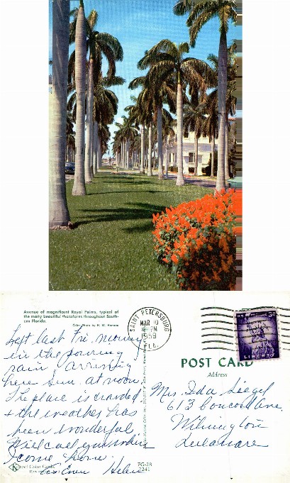Avenue of Royal Palms