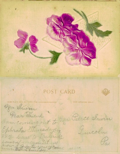 Pansy Flower Arrangement