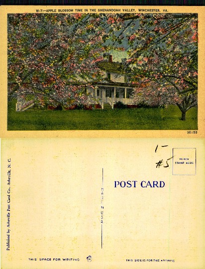Apple Blossom Time, Shenandoah Valley