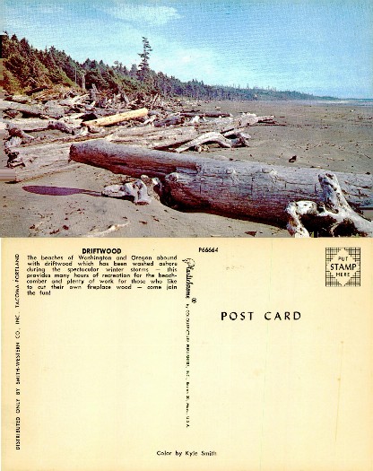 Driftwood Covered Pacific Beach