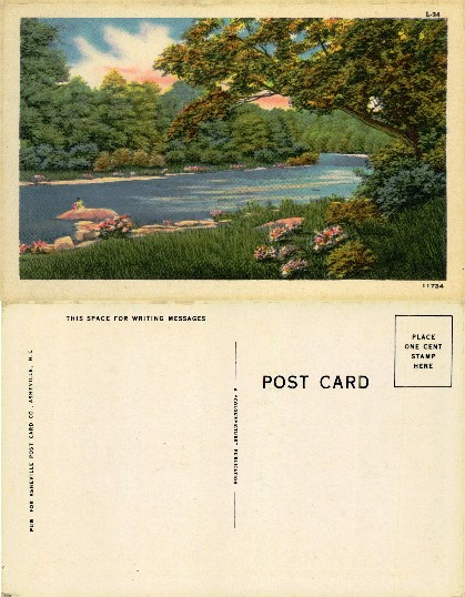 River and Forest Landscape