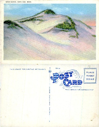 Sand Dunes with Sparse Vegetation