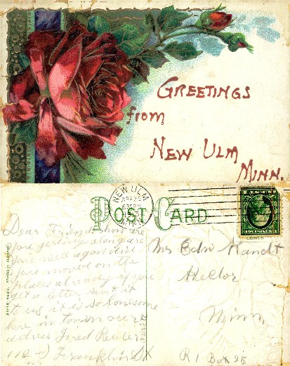Red Roses and Bud Illustration