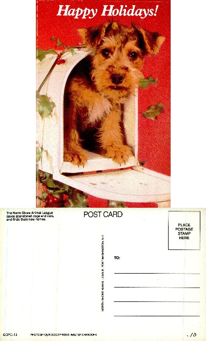 Dog in Mailbox, Happy Holidays