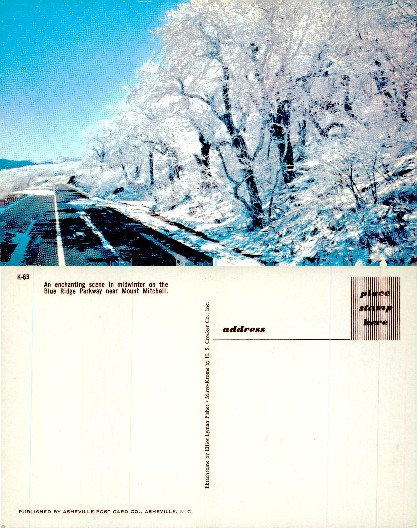 Snowy Road and Trees in Winter