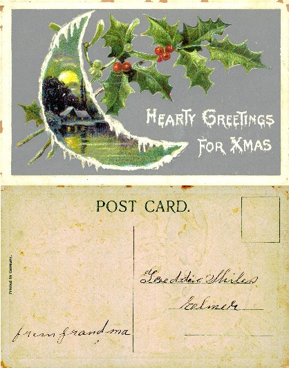 Christmas Holly, Mistletoe & Winter Scene