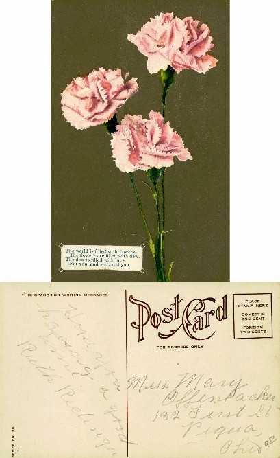 Pink Carnations with Poem