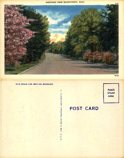 Road lined with trees and flowering shrubs