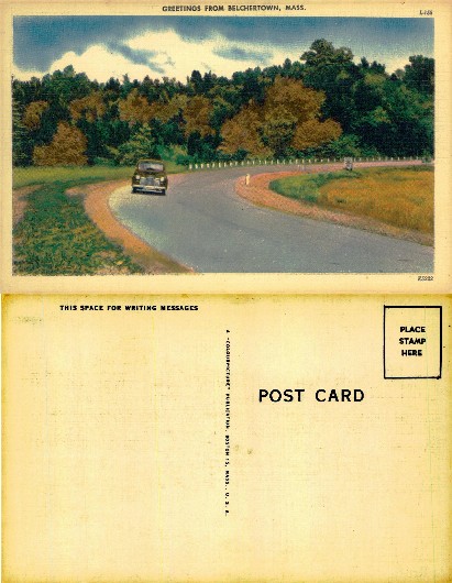 Winding Road with Car and Trees