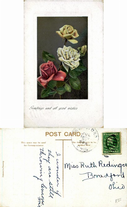 Three Roses with "Greetings" message