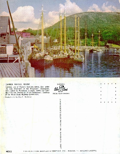 Harbor with Docked Sailboats