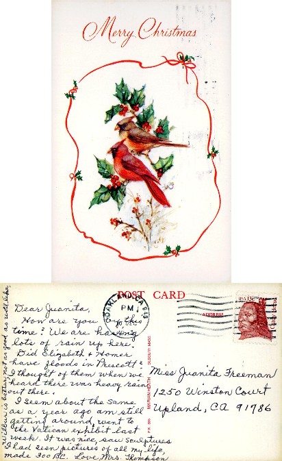 Cardinals on Holly, Merry Christmas
