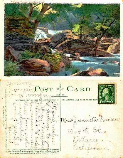Rocky Stream in Forest