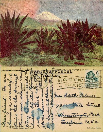 Popocatépetl Volcano with Agave