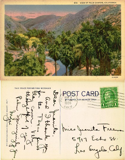 View of Palm Canyon