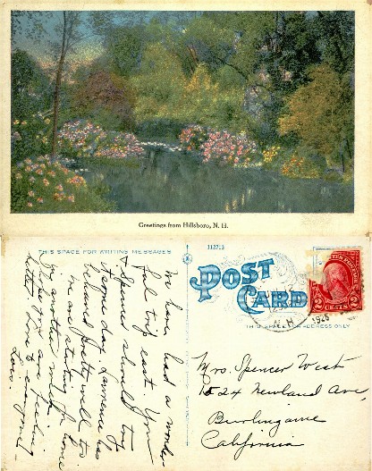 Scenic Pond with Flowering Shrubs
