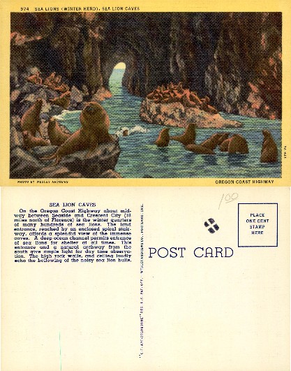 Sea Lions in Caves