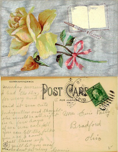 Yellow Rose, Pen, and Open Book