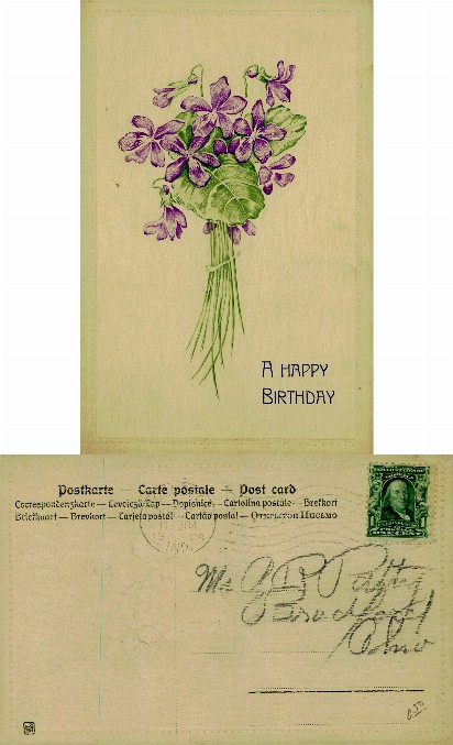 Violets Birthday Greeting