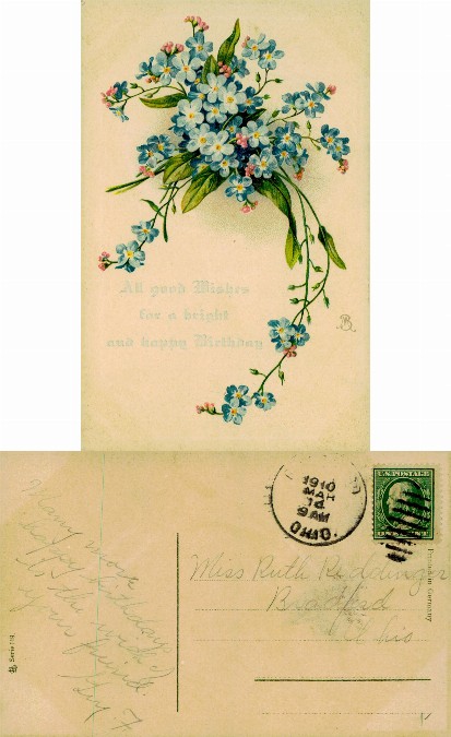 Birthday Wishes Forget-Me-Nots