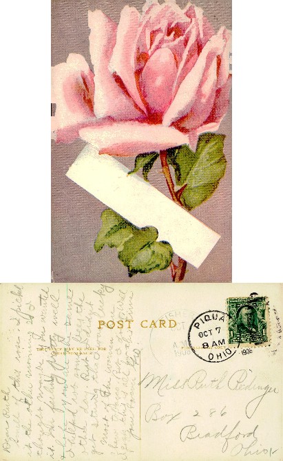 Pink Rose with Blank Banner