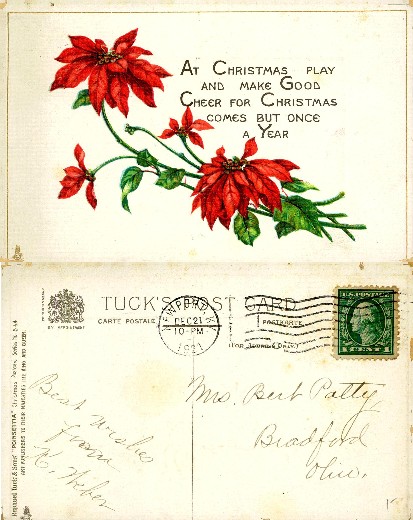 Poinsettias with Christmas Greeting