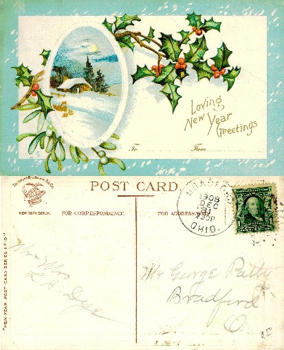 Winter Scene with Holly & Mistletoe
